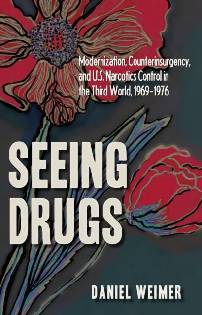 Seeing Drugs - Modernization, Counterinsurgency and U.S. Narcotics Control in the Third World, 1969-1976