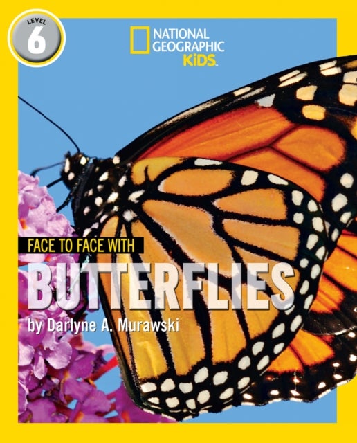 Face to Face with Butterflies - Level 6