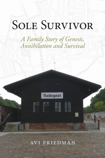 Sole Survivor - A Family Story of Genesis, Annihilation and Survival