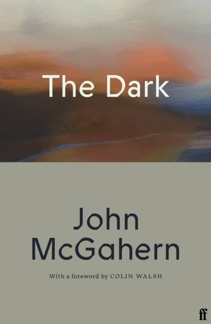 The Dark - Cillian Murphy: 'One of the greatest Irish writers’