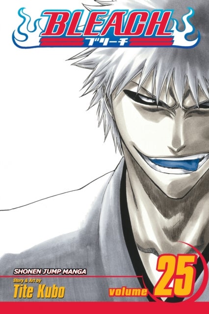 Bleach, Vol. 25 - No Shaking Throne