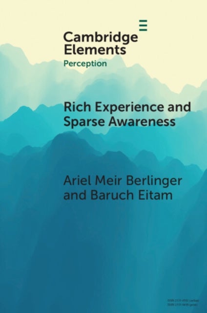 Rich Experience and Sparse Awareness - Sensing More Than We Know