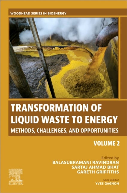 Transformation of Liquid Waste to Energy - Methods, Challenges, and Opportunities