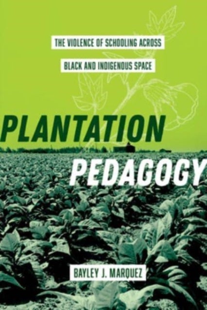 Plantation Pedagogy - The Violence of Schooling across Black and Indigenous Space