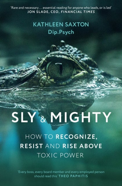 Sly and Mighty - How to Recognize, Resist and Rise Above Toxic Power