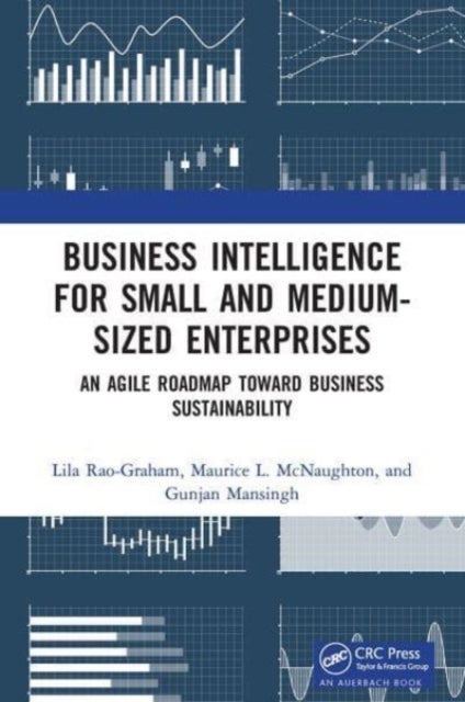 Business Intelligence for Small and Medium-Sized Enterprises - An Agile Roadmap toward Business Sustainability