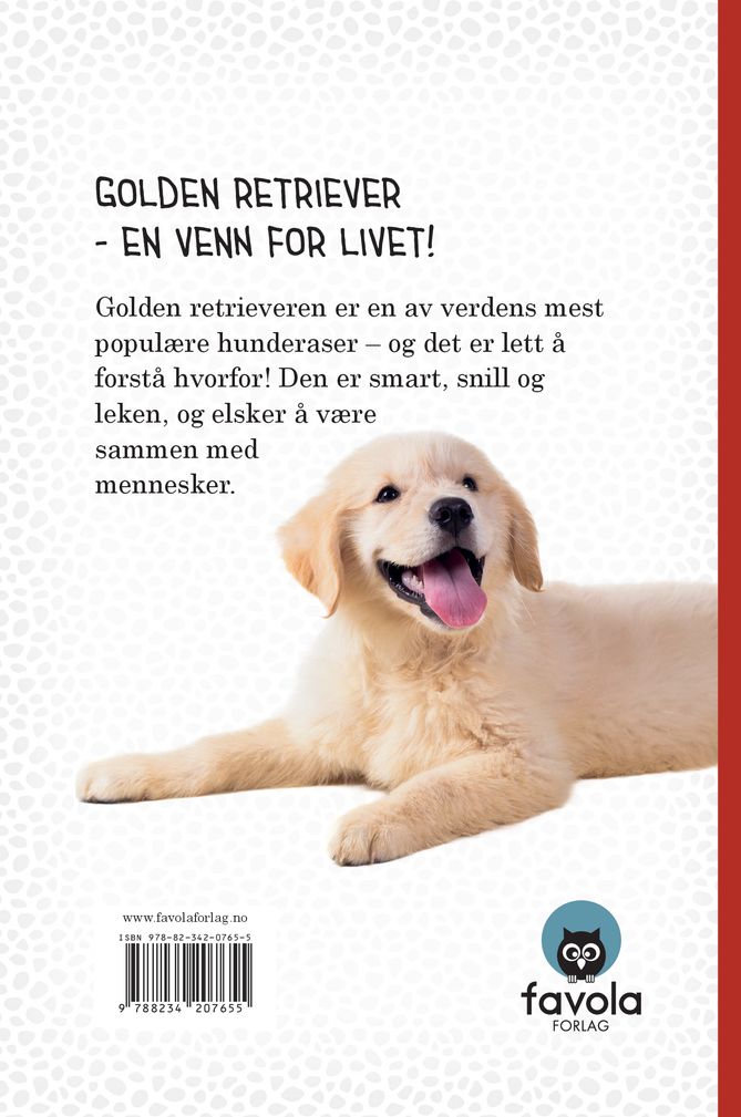 Golden retriever