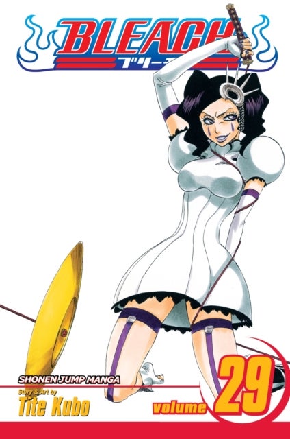 Bleach, Vol. 29 - The Slashing Opera