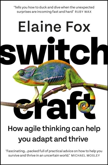 Switchcraft - Easy Techniques for Boosting Your Resilience and Mental Agility. 'Fascinating' - MICHAEL MOSLEY