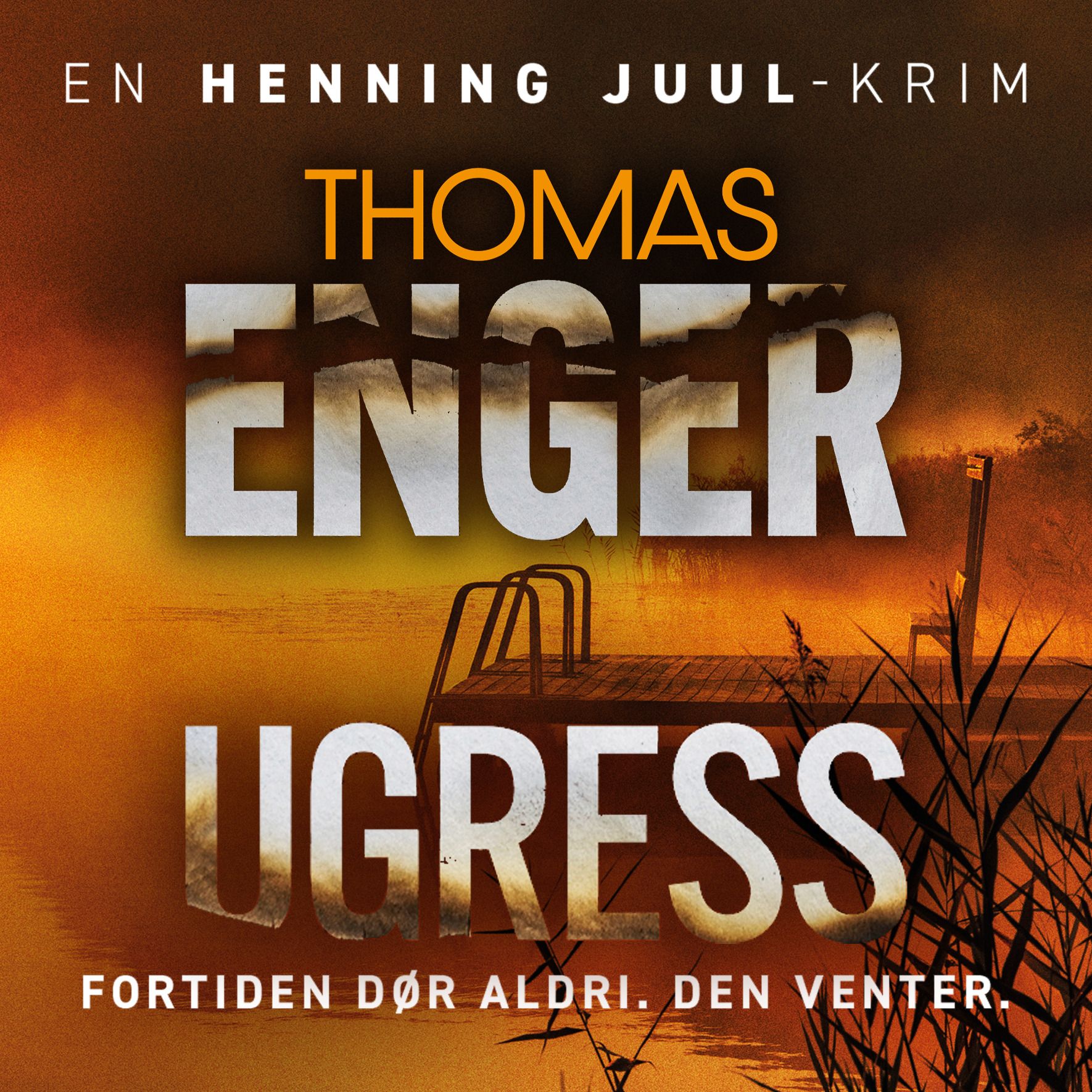 Ugress - en Henning Juul-roman