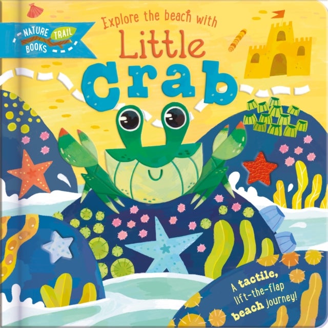 Explore the Beach with Little Crab - A tactile, lift-the-flap beach journey!