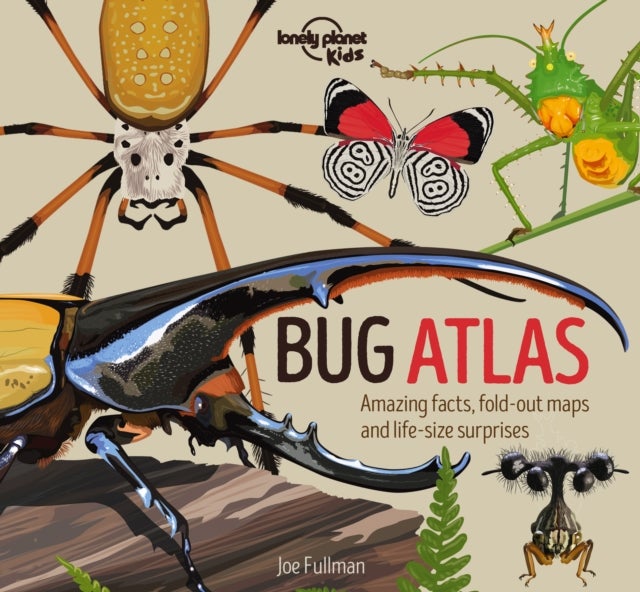 Lonely Planet Kids Bug Atlas - Amazing Facts & Fold Out Maps , Meet Spiders, Butterflies, Beetles & More , Packed with Beautiful Illustrations & Macro Photography