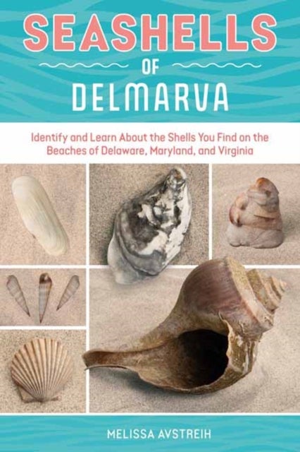 Seashells of Delmarva - Identify and Learn About the Shells You Find on the Beaches of Delaware, Maryland, and Virginia