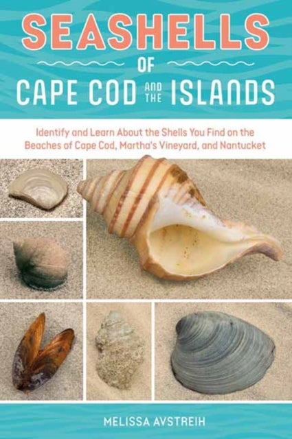 Seashells of Cape Cod and the Islands - Identify and Learn About the Shells You Find on the Beaches of Cape Cod, Martha's Vineyard, and Nantucket