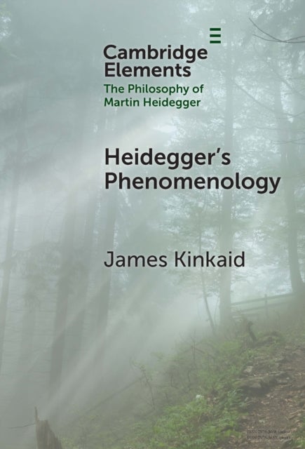 Heidegger’s Phenomenology