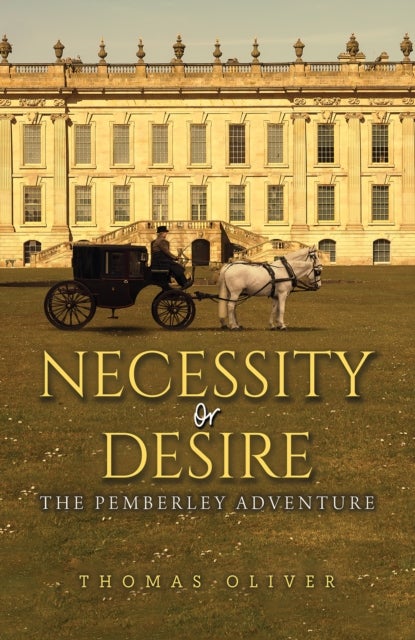 Necessity or Desire - The Pemberley Adventure