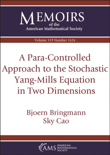 A Para-Controlled Approach to the Stochastic Yang-Mills Equation in Two Dimensions