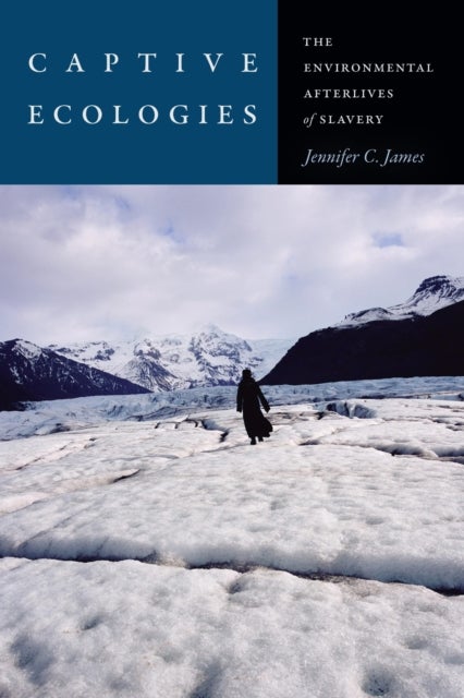 Captive Ecologies - The Environmental Afterlives of Slavery