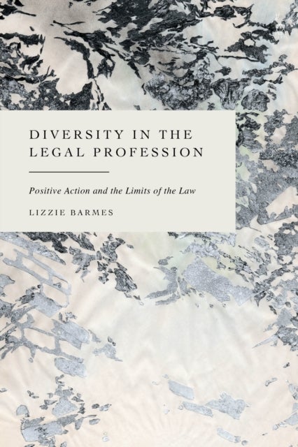 Diversity in the Legal Profession - Positive Action and the Limits of the Law