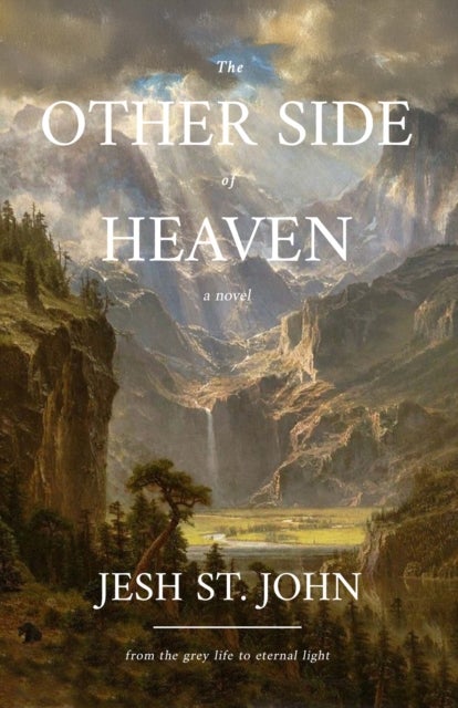 The Other Side of Heaven A Novel - from the grey life to eternal light