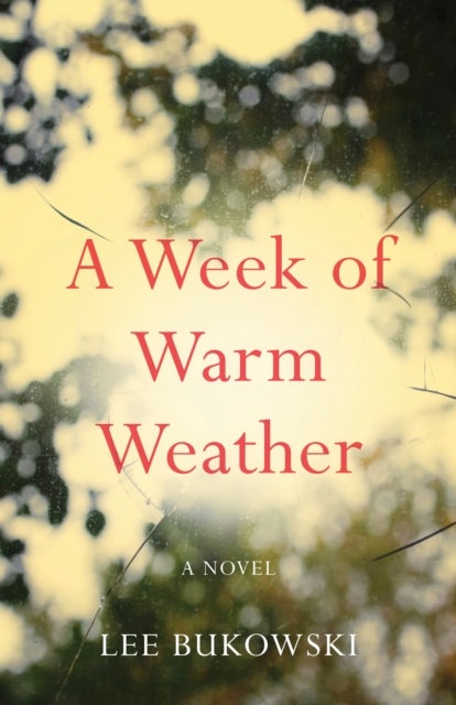 A Week of Warm Weather - A Novel
