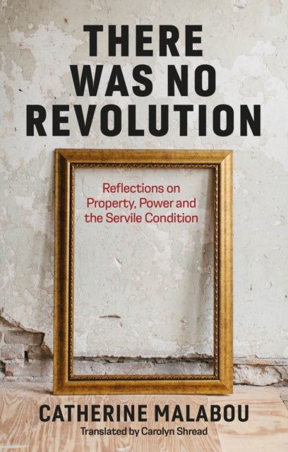 There Was No Revolution - Reflections on Property, Power and the Servile Condition
