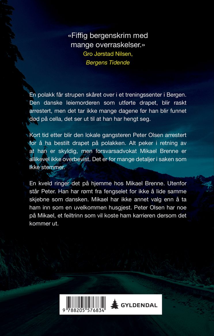 Djevelen i detaljene