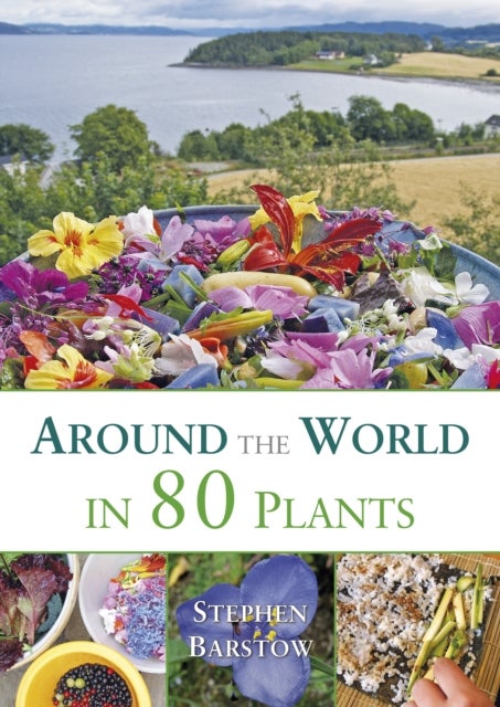 Around the world in 80 plants - An edible perrenial vegetable adventure for temper