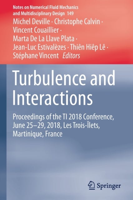 Turbulence and Interactions - Proceedings of the TI 2018 Conference, June 25-29, 2018, Les Trois-Ilets, Martinique, France