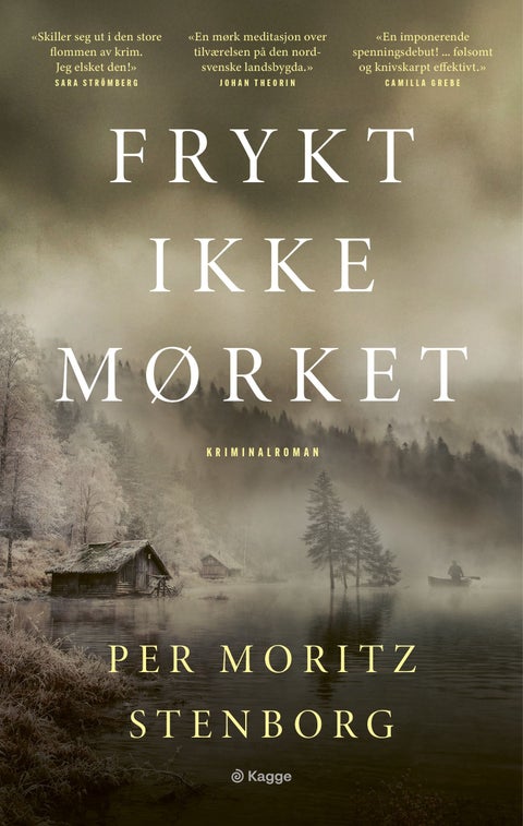 Frykt ikke mørket - kriminalroman