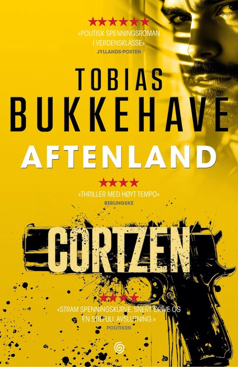 Aftenland - spenningsroman