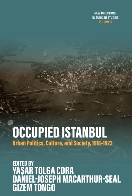 Occupied Istanbul - Urban Politics, Culture and Society, 1918-1923