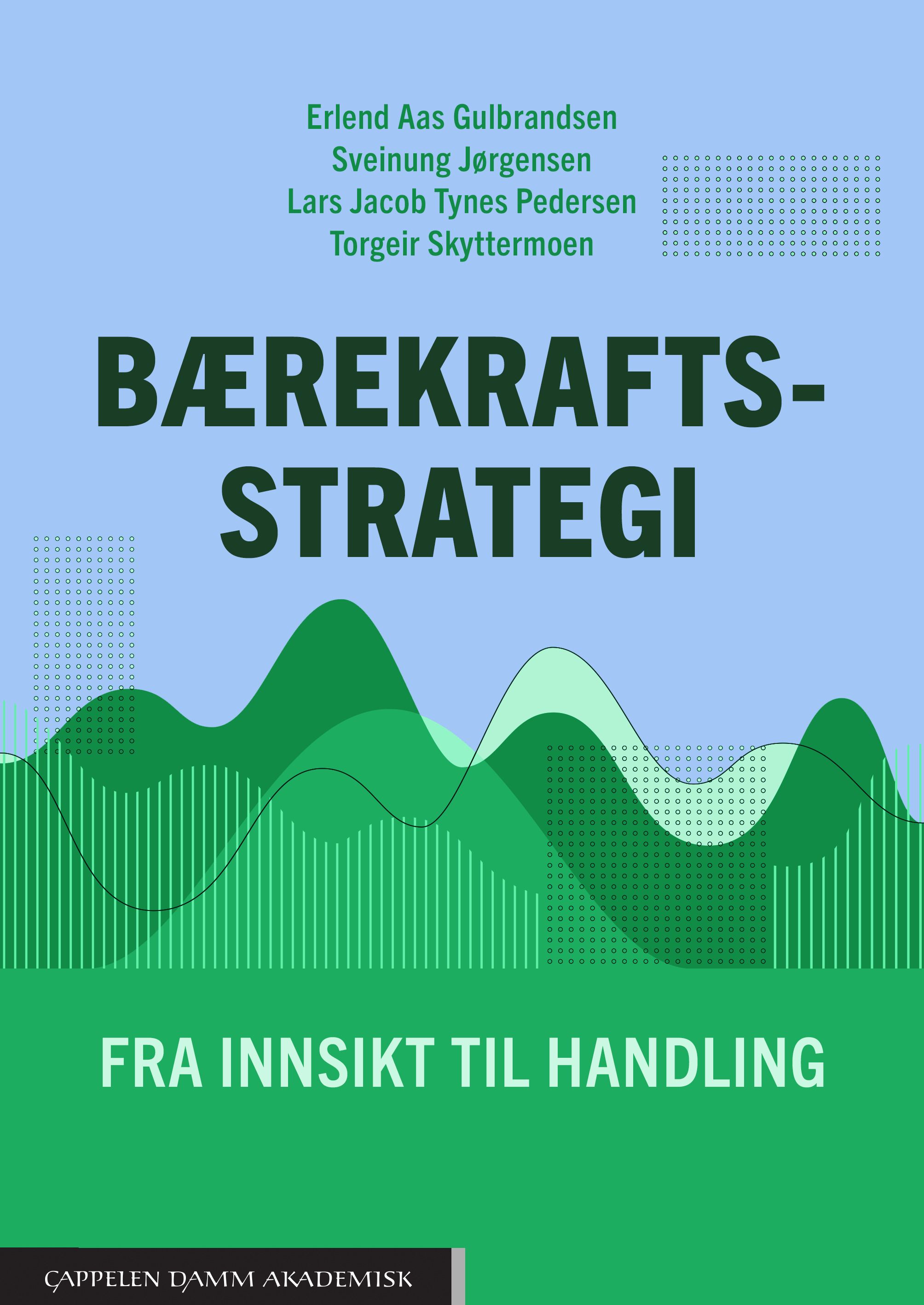 Bærekraftsstrategi - fra innsikt til handling