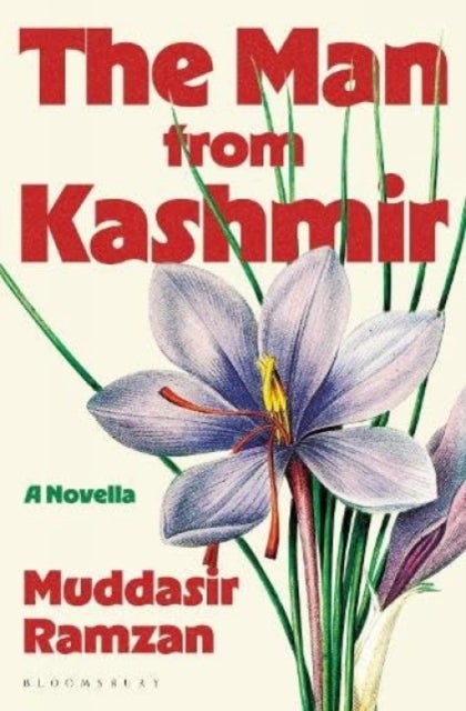 The Man from Kashmir - A Novella