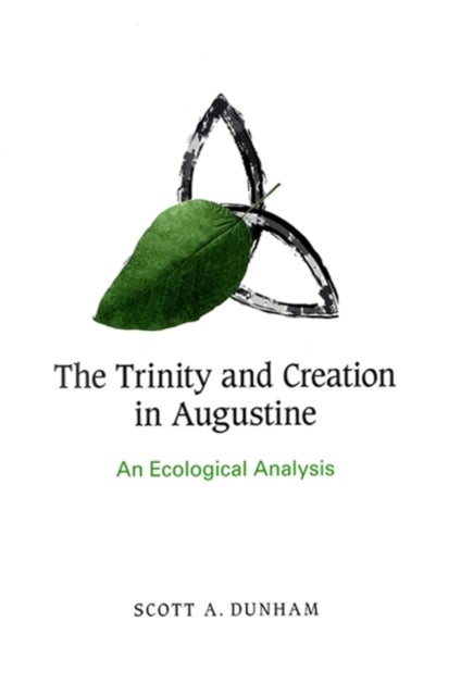 The Trinity and Creation in Augustine - An Ecological Analysis