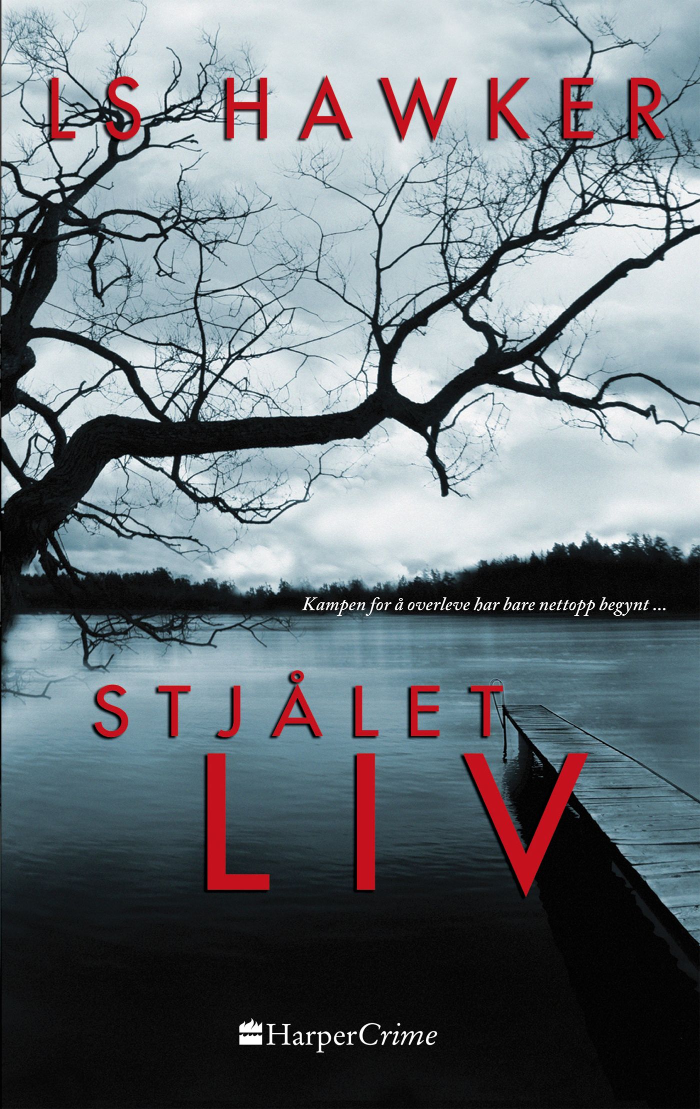 Stjålet liv