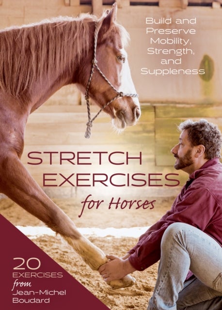 Stretch Exercises for Horses - Build and Preserve Mobility, Strength, and Suppleness