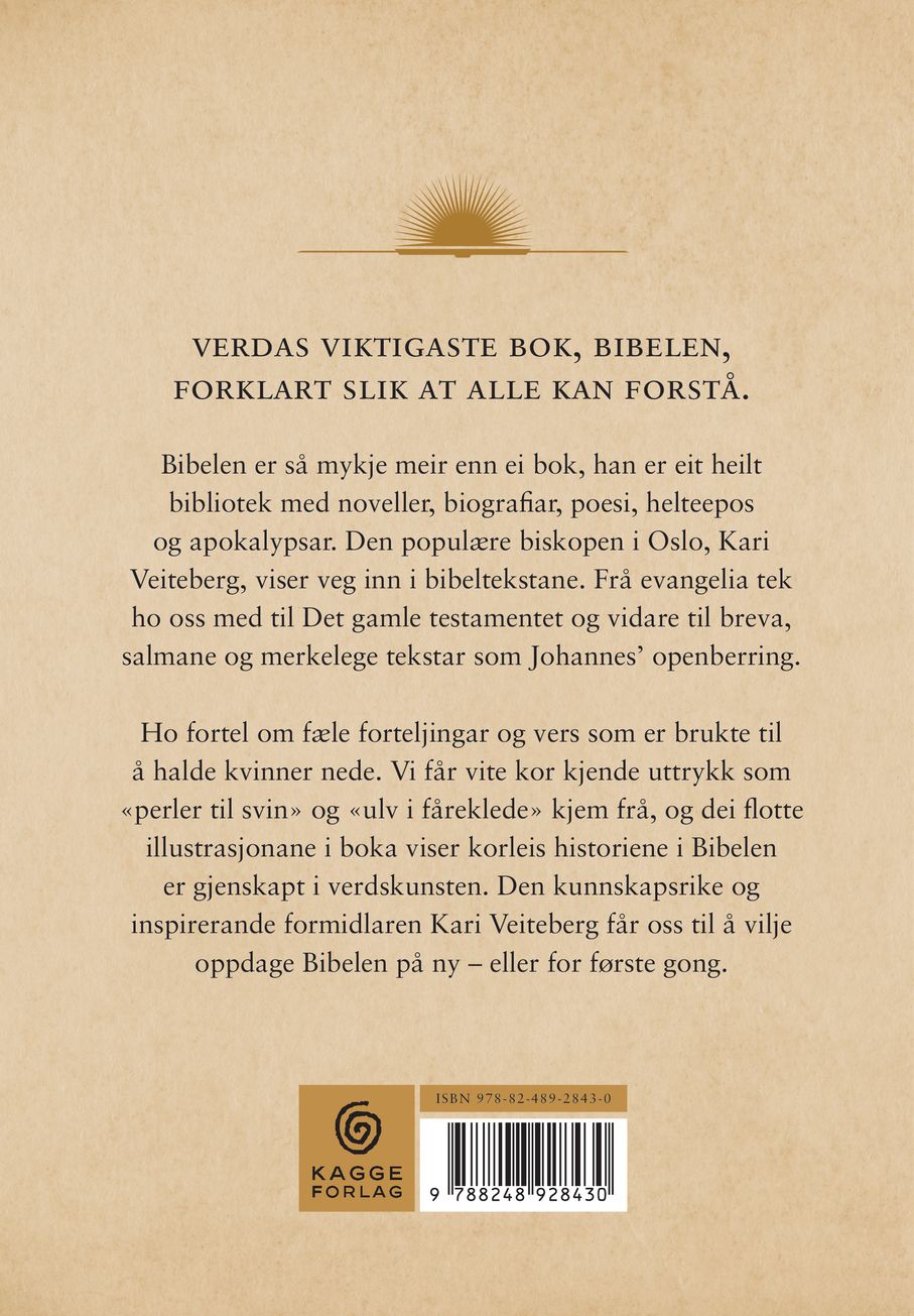 Bibelen på 200 sider