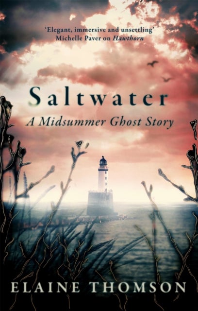 Saltwater - A midsummer ghost story