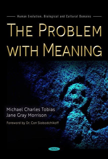The Problem with Meaning