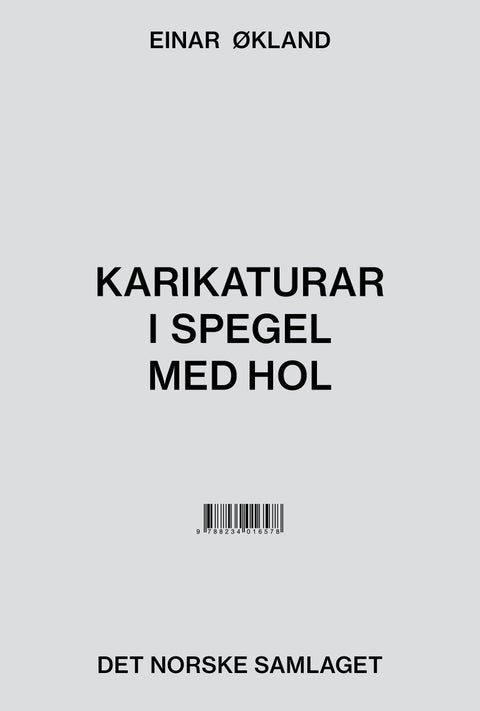 Karikaturar i spegel med hol