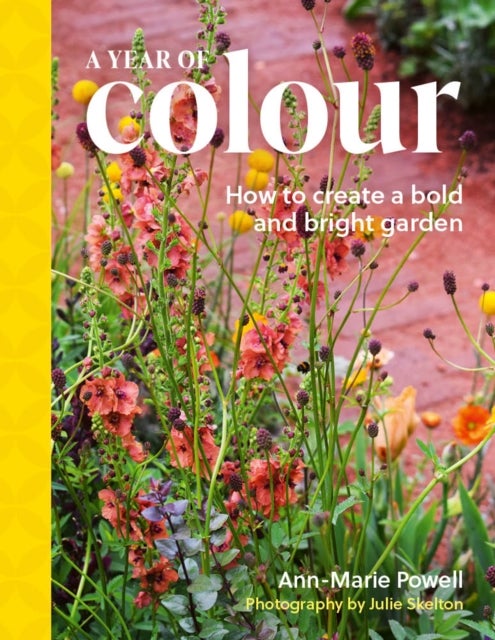 A Year of Colour - How to create a bold and bright garden