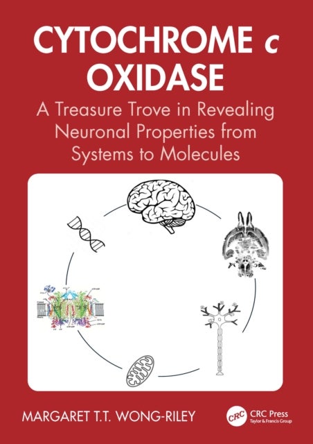 Cytochrome c Oxidase - A Treasure Trove in Revealing Neuronal Properties from Systems to Molecules