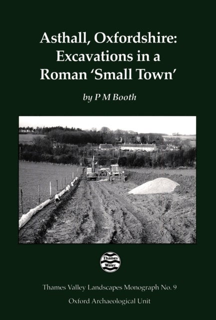 Asthall, Oxfordshire - Excavations in a Roman `Small Town'