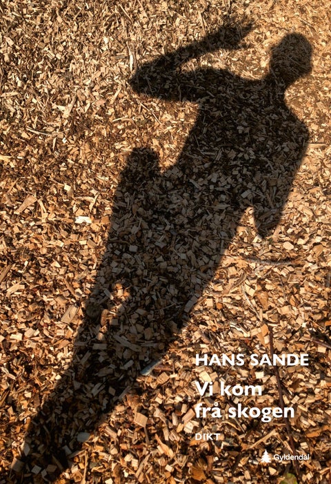 Vi kom frå skogen - dikt