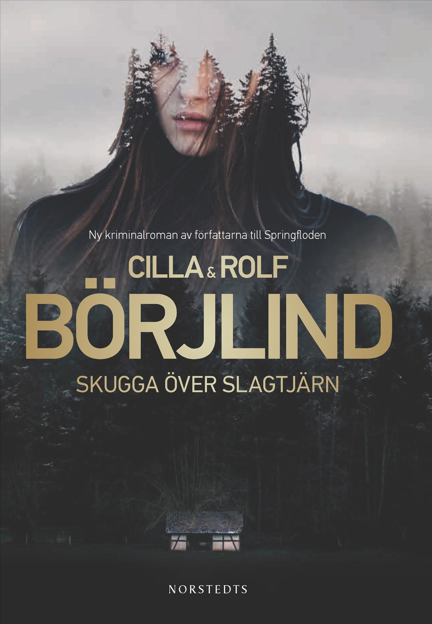 Skugga över Slagtjärn