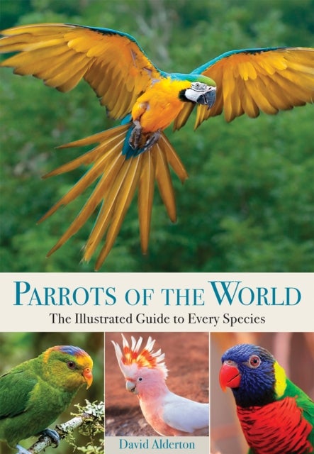 Parrots of the World - The Illustrated Guide to Every Species