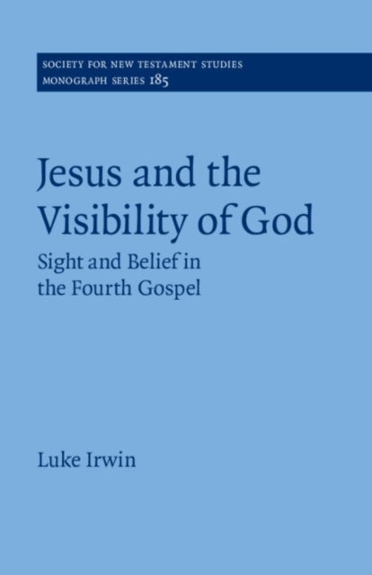 Jesus and the Visibility of God - Sight and Belief in the Fourth Gospel