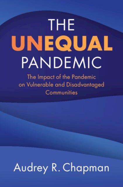 The Unequal Pandemic - The Impact of the Pandemic on Vulnerable and Disadvantaged Communities