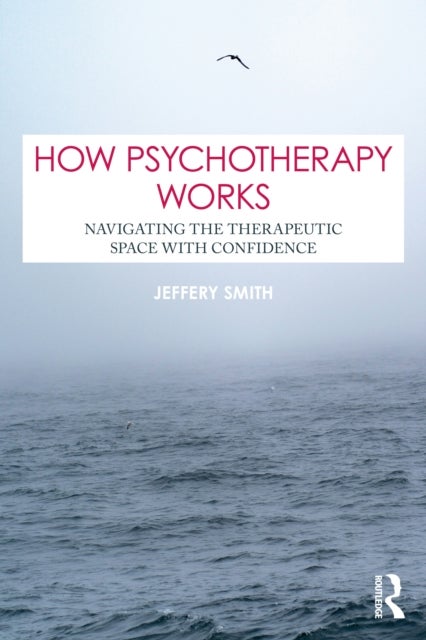 How Psychotherapy Works - Navigating the Therapeutic Space with Confidence